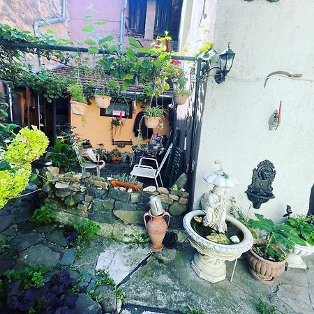 Casa Morar Apartment Sighisoara Ngoại thất bức ảnh