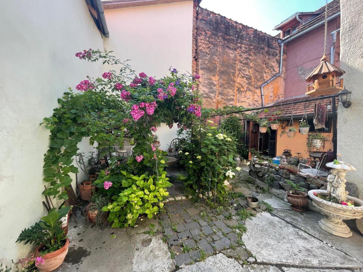 Casa Morar Apartment Sighisoara Ngoại thất bức ảnh
