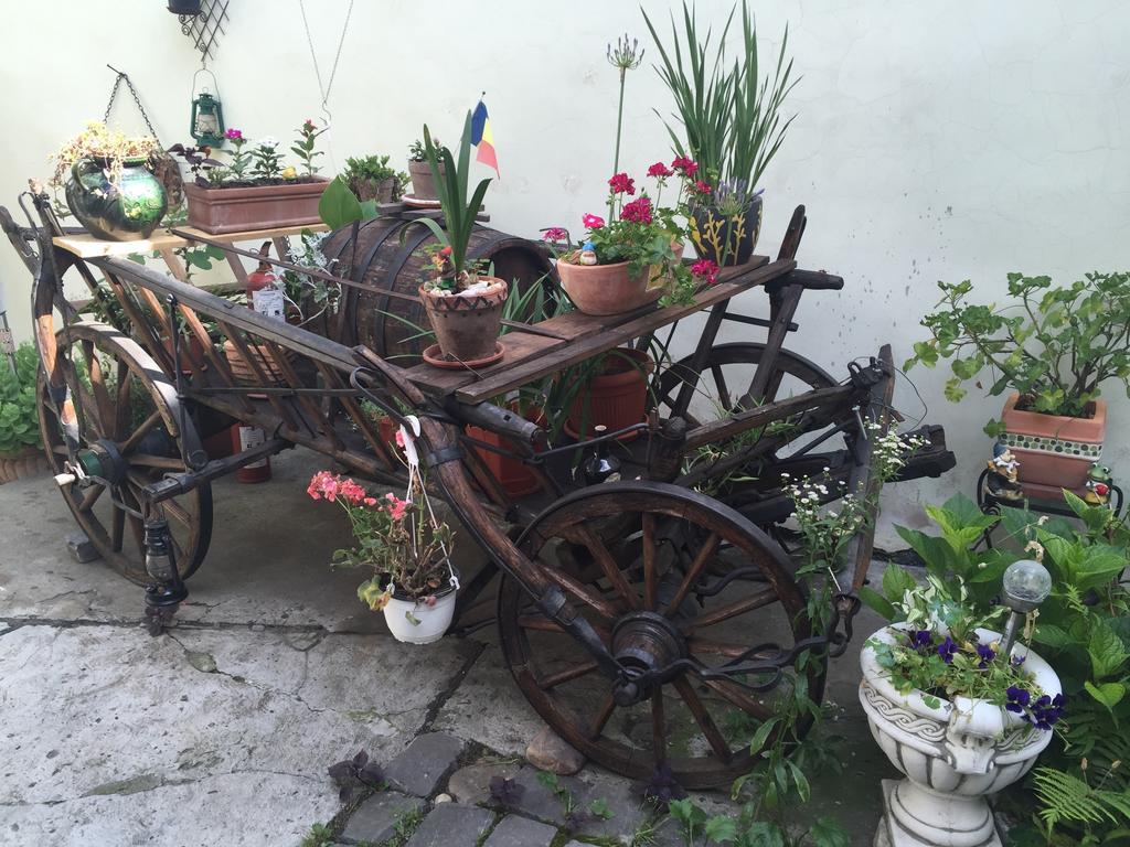 Casa Morar Apartment Sighisoara Ngoại thất bức ảnh
